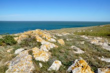 Прогулки по заповеднику на полуострове Казантип. По скалам и пляжам в обществе птиц и медуз