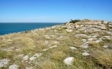 Прогулки по заповеднику на полуострове Казантип. По скалам и пляжам в обществе птиц и медуз