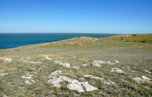 Прогулки по заповеднику на полуострове Казантип. По скалам и пляжам в обществе птиц и медуз