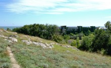 Прогулки по заповеднику на полуострове Казантип. По скалам и пляжам в обществе птиц и медуз