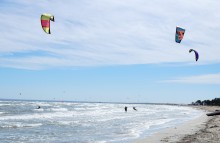 Прогулки по заповеднику на полуострове Казантип. По скалам и пляжам в обществе птиц и медуз