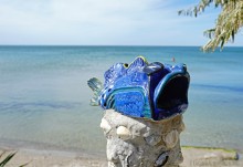 Прогулки по заповеднику на полуострове Казантип. По скалам и пляжам в обществе птиц и медуз