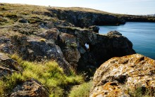 Прогулки по заповеднику на полуострове Казантип. По скалам и пляжам в обществе птиц и медуз