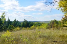 Осень в Бородиновском лесу