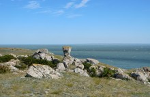 Прогулки по Казантипу. Рассказ третий. Живые камни.