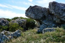 Прогулки по Казантипу. Рассказ третий. Живые камни.