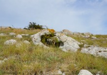 Прогулки по Казантипу. Рассказ третий. Живые камни.