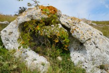 Прогулки по Казантипу. Рассказ третий. Живые камни.