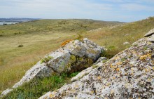 Прогулки по Казантипу. Рассказ третий. Живые камни.