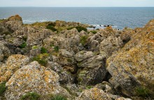 Прогулки по Казантипу. Рассказ третий. Живые камни.