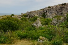 Прогулки по Казантипу. Рассказ третий. Живые камни.