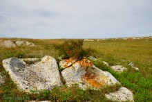 Прогулки по Казантипу. Рассказ третий. Живые камни.