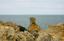 Прогулки по Казантипу. Рассказ третий. Живые камни.