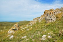 Прогулки по Казантипу. Рассказ третий. Живые камни.