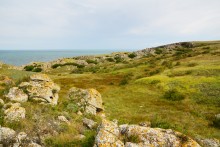 Прогулки по Казантипу. Рассказ третий. Живые камни.