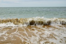 Прогулки по Казантипу. Рассказ третий. Живые камни.