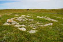 Прогулки по Казантипу. Рассказ третий. Живые камни.