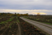 Поворот просёлочной дороги среди полей