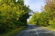 Дорога между Тереховским и Мостовым