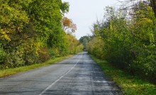 Дорога между Тереховским и Мостовым