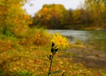 Осенняя прогулка по месту где сходятся Дон, Керчик и Аксай