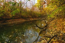 Осенняя прогулка по месту где сходятся Дон, Керчик и Аксай