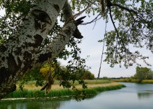 Лето на реке Кундрючьей у станицы Краснодонецкой