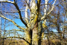 Поздняя осень на Золотом ерике