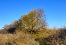 Поздняя осень на Золотом ерике