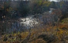 Поздняя осень на Золотом ерике