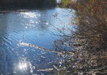 Поздняя осень на Золотом ерике