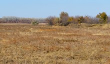 Поздняя осень на Золотом ерике