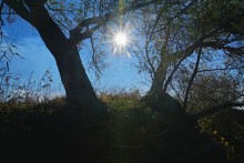 Поздняя осень на Золотом ерике