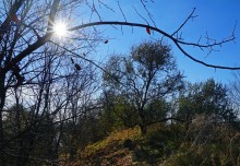 Поздняя осень на Золотом ерике