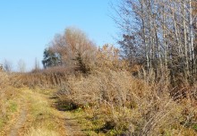 Поздняя осень на Золотом ерике