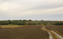 Старый, необычный дом на окраине хутора Чумаковского.