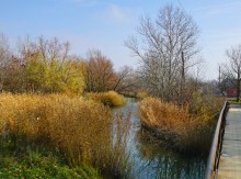 Осень в хуторах Дугино и Обуховка на реке Каланча