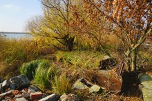 Осень в хуторах Дугино и Обуховка на реке Каланча