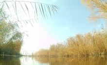 Осень в хуторах Дугино и Обуховка на реке Каланча