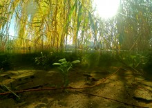 Осенний родник