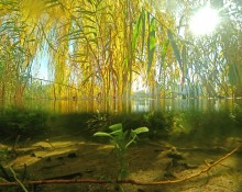 Осенний родник