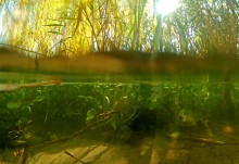 Осенний родник