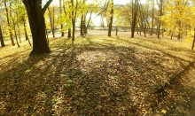 Осенние тени на опавшей листве