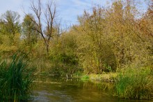 Подвесные или висячие мосты Донского края