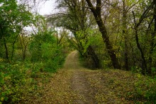 Подвесные или висячие мосты Донского края