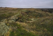 Цветная пластушка у хутора Чернышев на Кундрючьей