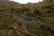 Цветная пластушка у хутора Чернышев на Кундрючьей