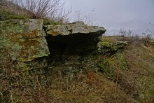 Цветная пластушка у хутора Чернышев на Кундрючьей