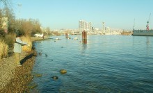 Берег Дону у Гремучки 2021