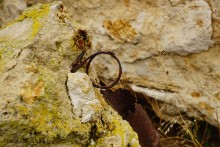 Часовня в Коныгине